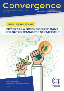 Tir  part n1 - non membre - Intgrer la dimension RSE dans les outils danalyse stratgique